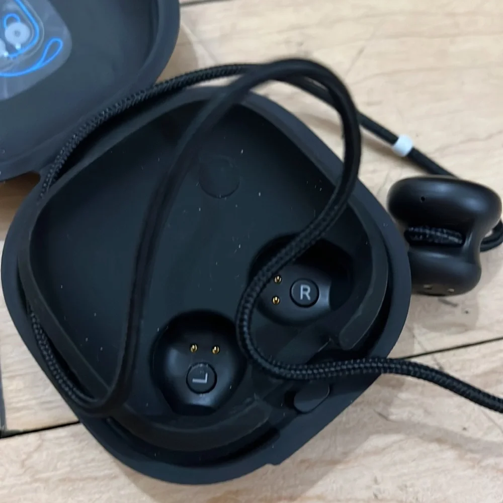 Google Earbud Headphones